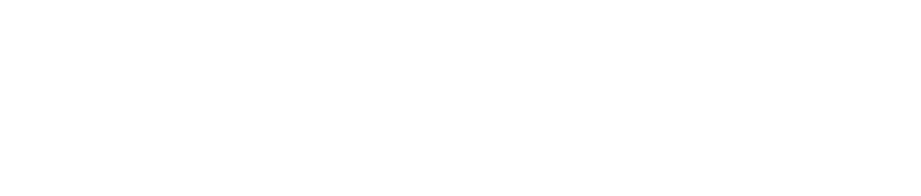 PositionPort Logo (White)